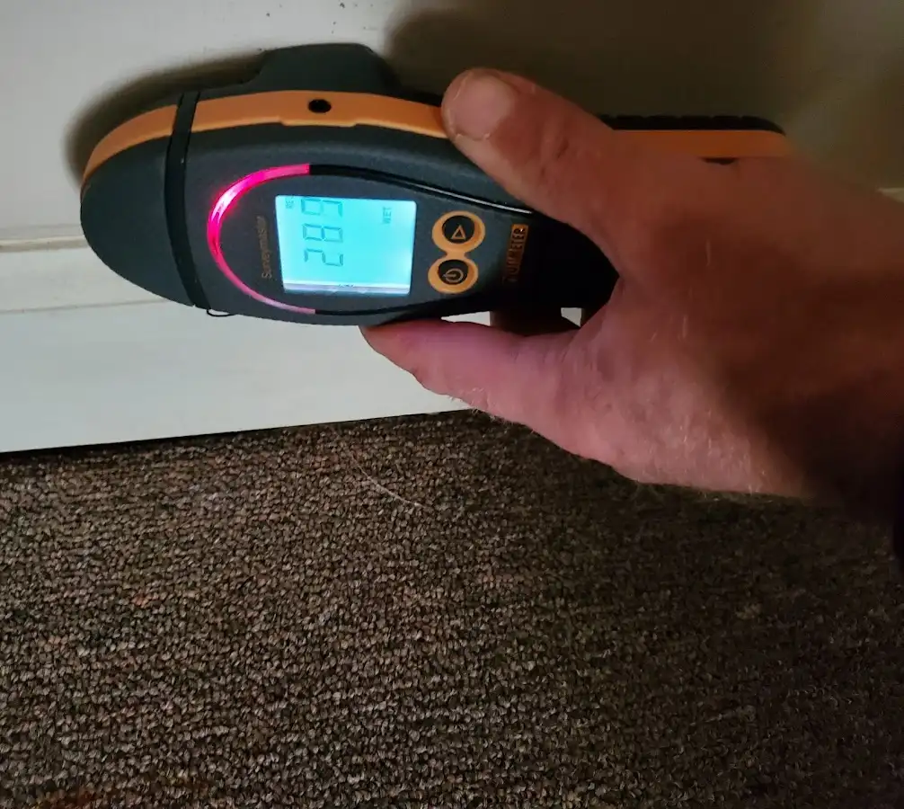 Moisture detection at baseboard during Mold Inspection & Testing in Centerville